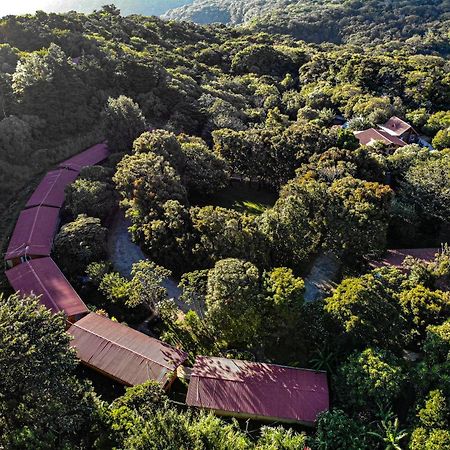 El Bosque Lodging Villa Monteverde Exterior foto