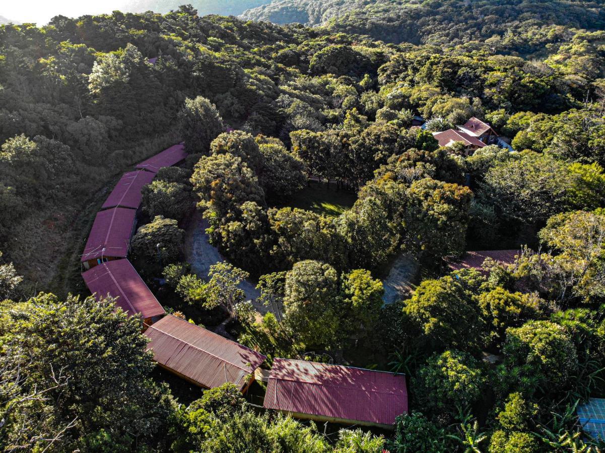 El Bosque Lodging Villa Monteverde Exterior foto